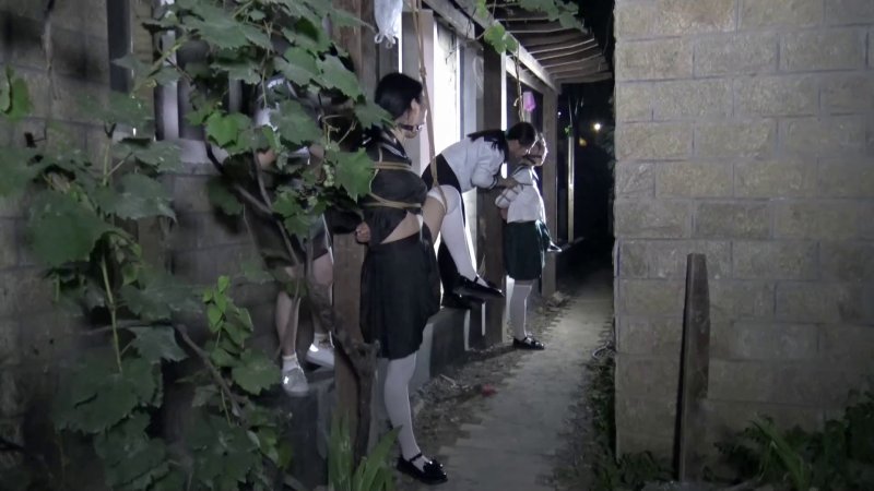胜景山庄影视拍摄花絮新作品之定拍夜晚葡萄棚下调漖三籹M！本影视可在线看！