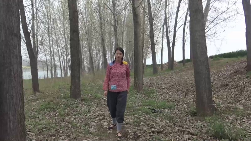 胜景山庄春阿氏完整版视频新作品之石门情报站！本影视可在线看！