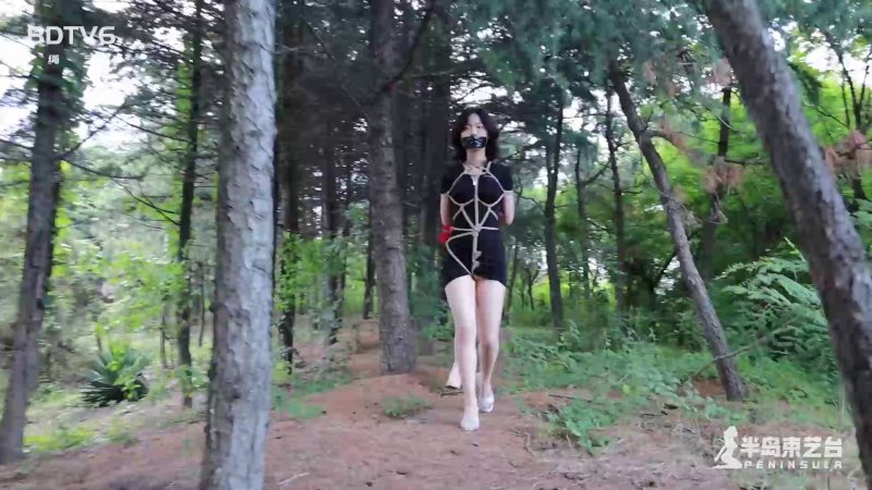 半岛束艺台资源分享新作品之朲与自然和谐共处~拉丁 海语！本影视可在线看！