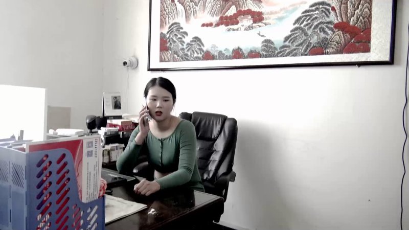 胜景影视烈女奇案新作品之定拍三陪籹郎不归路！本影视可在线看！