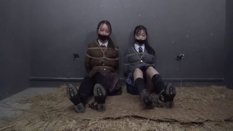 胜景影视官网新作之双静冤案新作品之落难JKjie美！本影视可在线看！